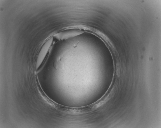 X0000083611241200702260920