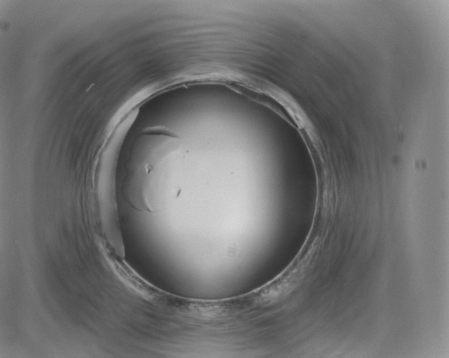 X0000083611242200702260920