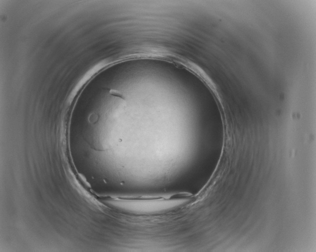 X0000083611243200702260920