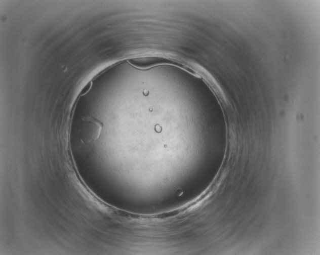 X0000083611244200702260920