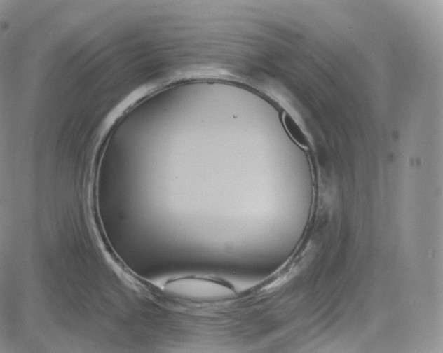 X0000083611245200702260920