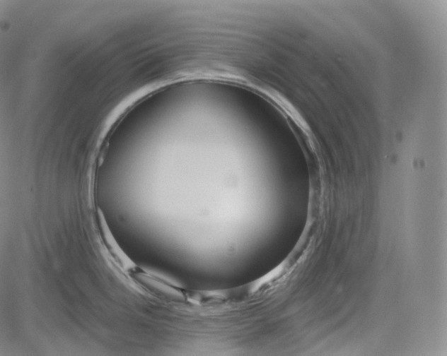 X0000083611246200702260920