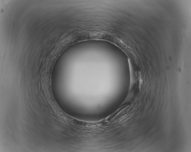 X0000083611249200702260919