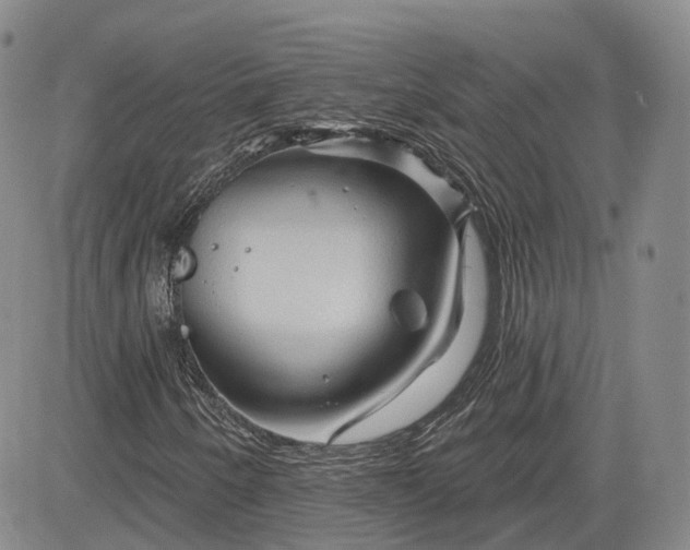 X0000083611250200702260919