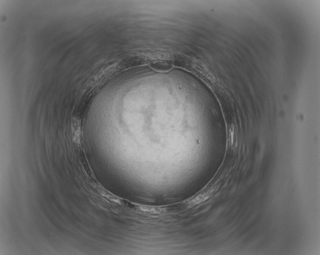 X0000083611251200702260919