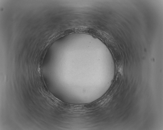 X0000083611252200702260919