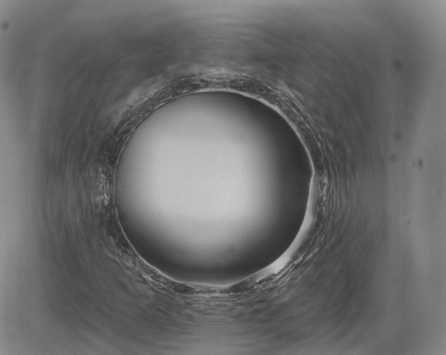 X0000083611253200702260919