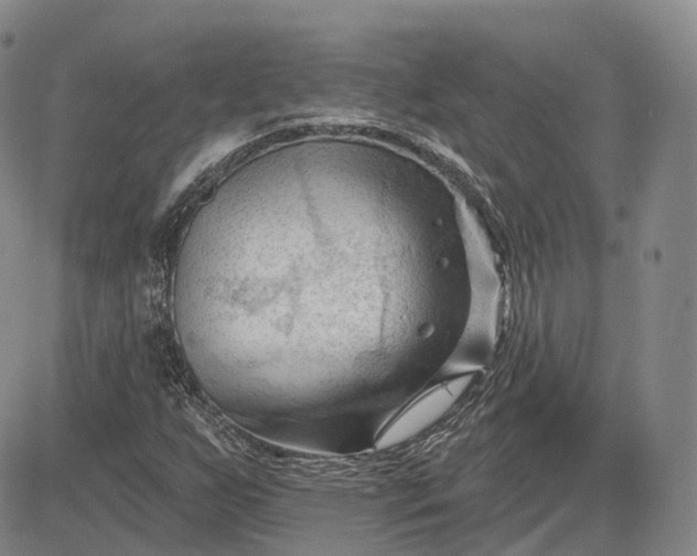 X0000083611255200702260919