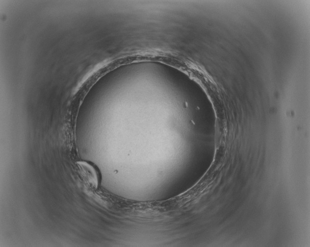 X0000083611256200702260919