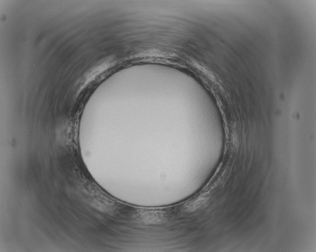 X0000083611258200702260919