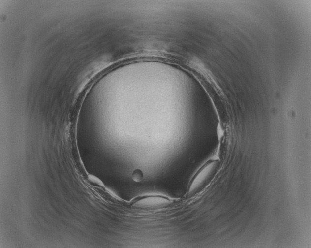 X0000083611260200702260919