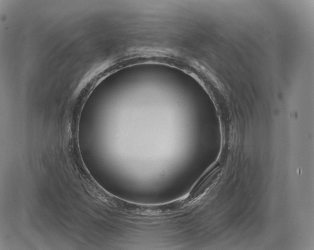 X0000083611261200702260919