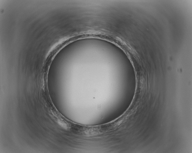 X0000083611262200702260919