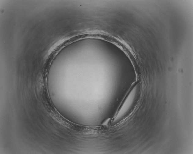 X0000083611263200702260919