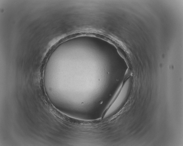 X0000083611264200702260919