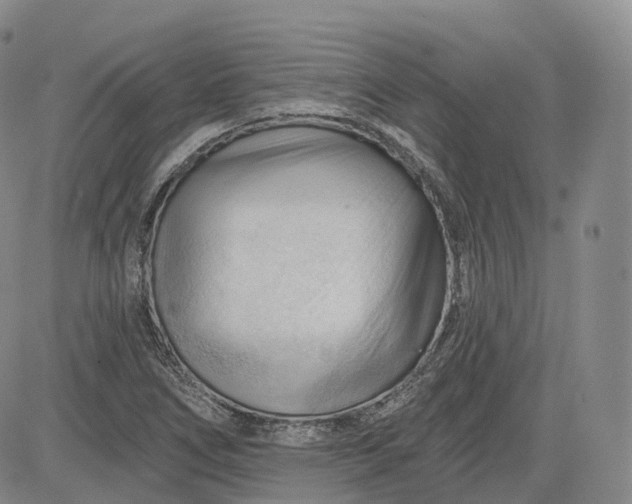 X0000083611266200702260919