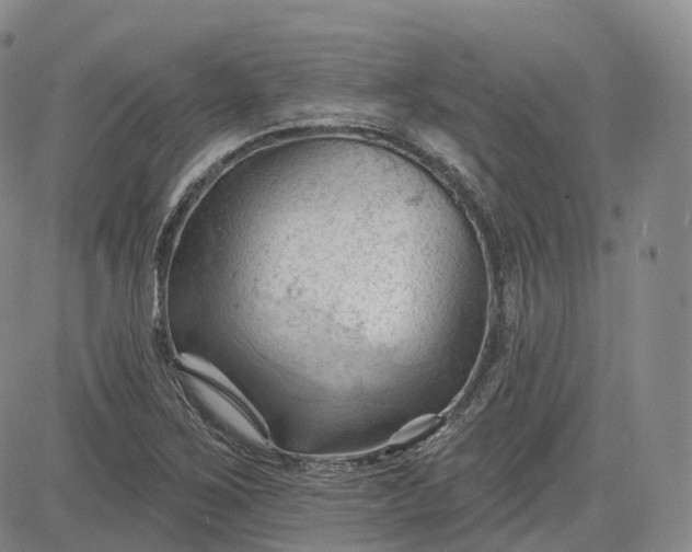 X0000083611267200702260919