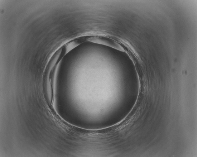 X0000083611268200702260919