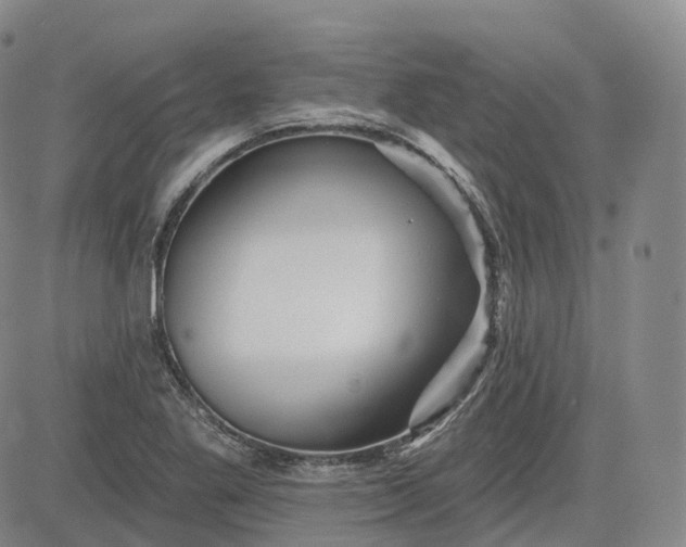 X0000083611269200702260919