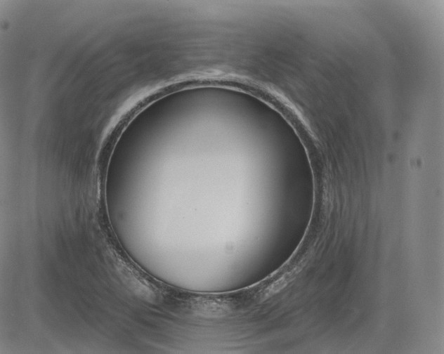 X0000083611270200702260919