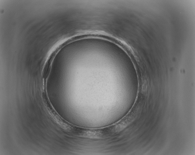 X0000083611271200702260919