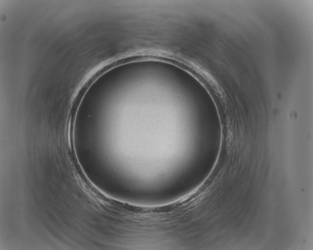 X0000083611272200702260918