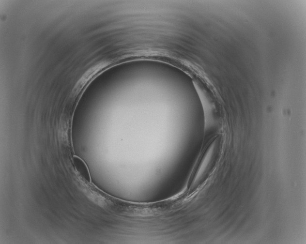 X0000083611273200702260918