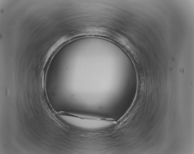 X0000083611275200702260918