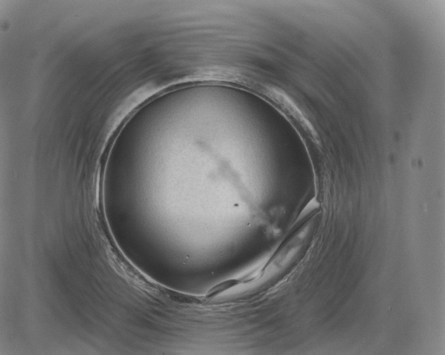 X0000083611276200702260918