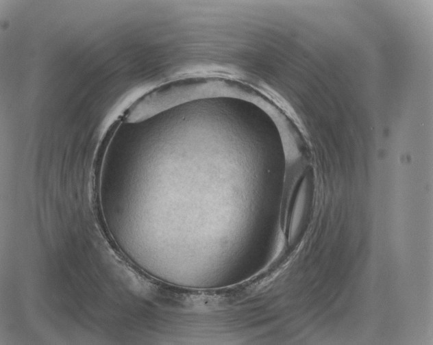 X0000083611277200702260918