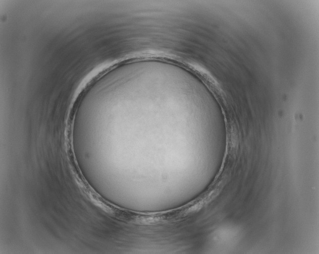 X0000083611278200702260918