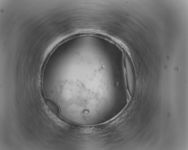 X0000083611279200702260918