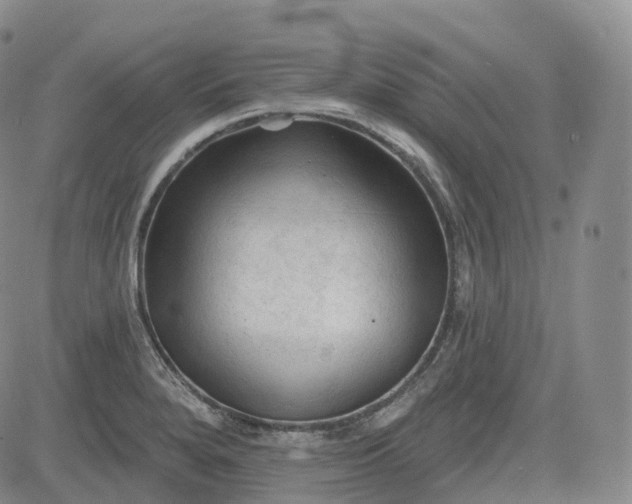 X0000083611280200702260918