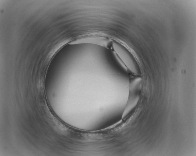 X0000083611281200702260918