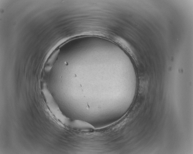 X0000083611284200702260918