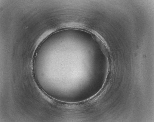 X0000083611285200702260918