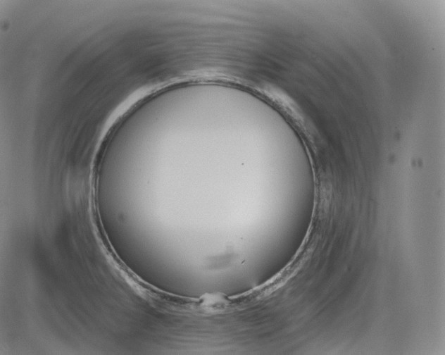 X0000083611286200702260918