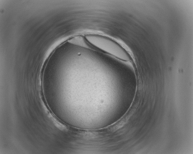 X0000083611287200702260918