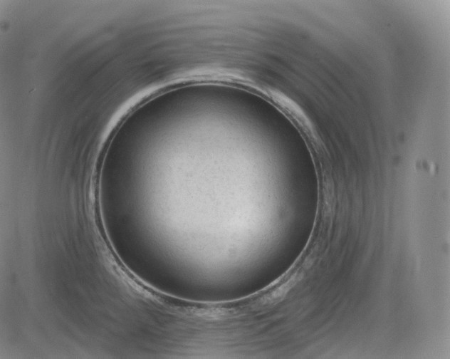 X0000083611288200702260918