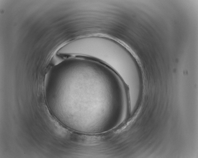 X0000083611289200702260918