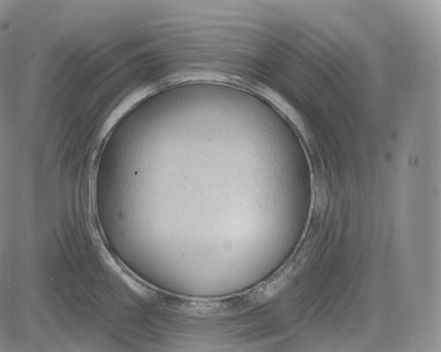 X0000083611290200702260918