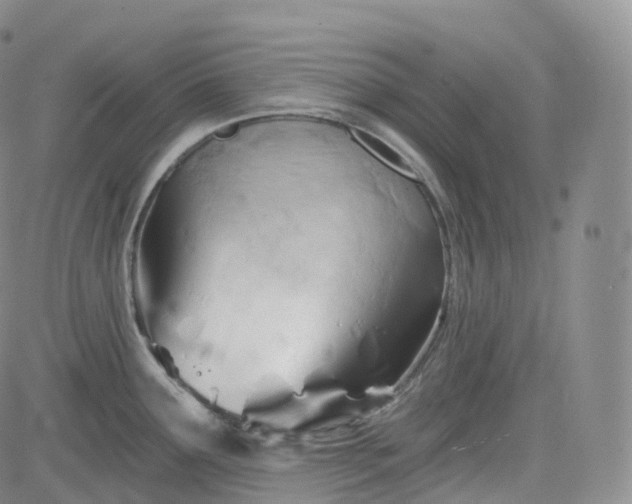 X0000083611291200702260918