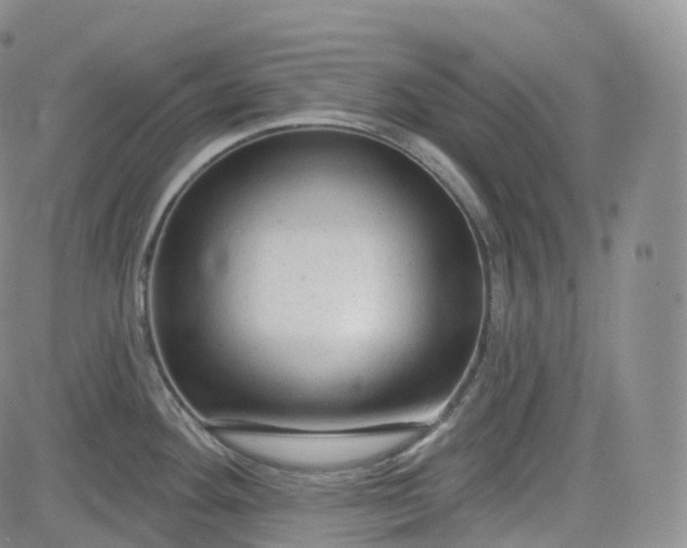 X0000083611292200702260918