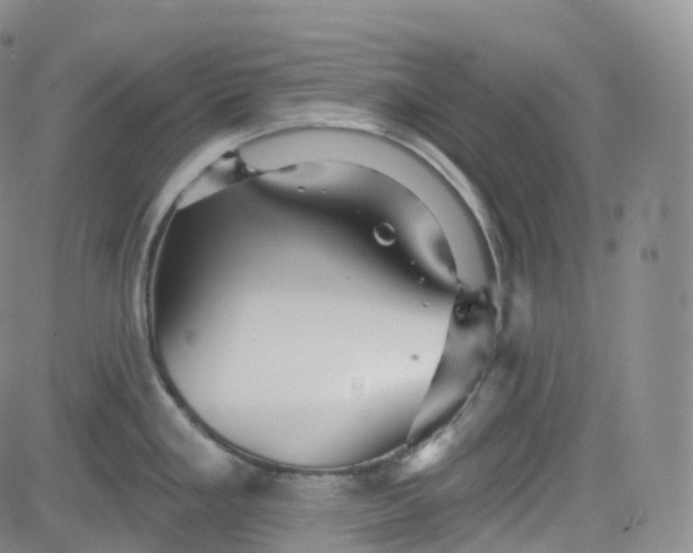 X0000083611293200702260918