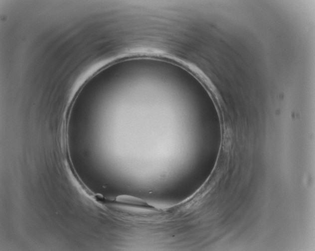 X0000083611295200702260918