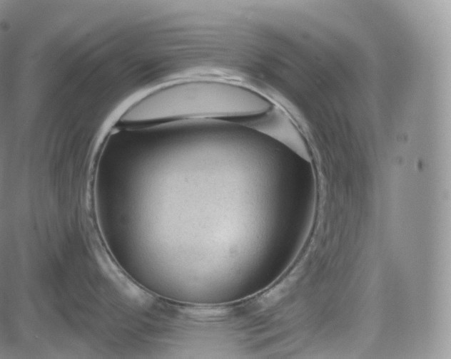 X0000083611296200702260918