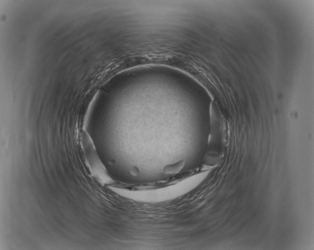 X0000083611298200702260917