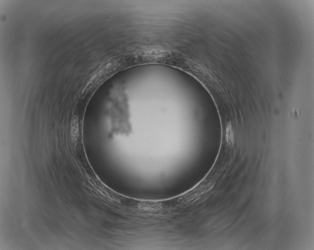 X0000083611299200702260917