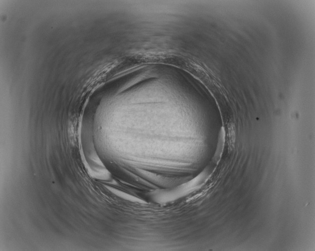 X0000083611300200702260917