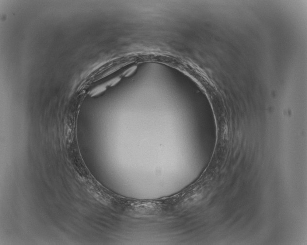 X0000083611303200702260917